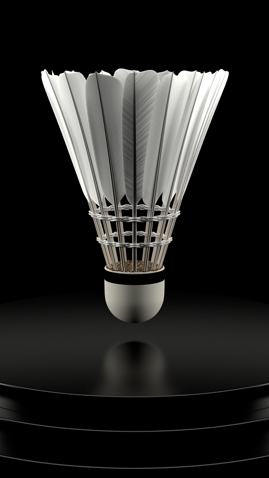 5亿的大合 5亿的大合